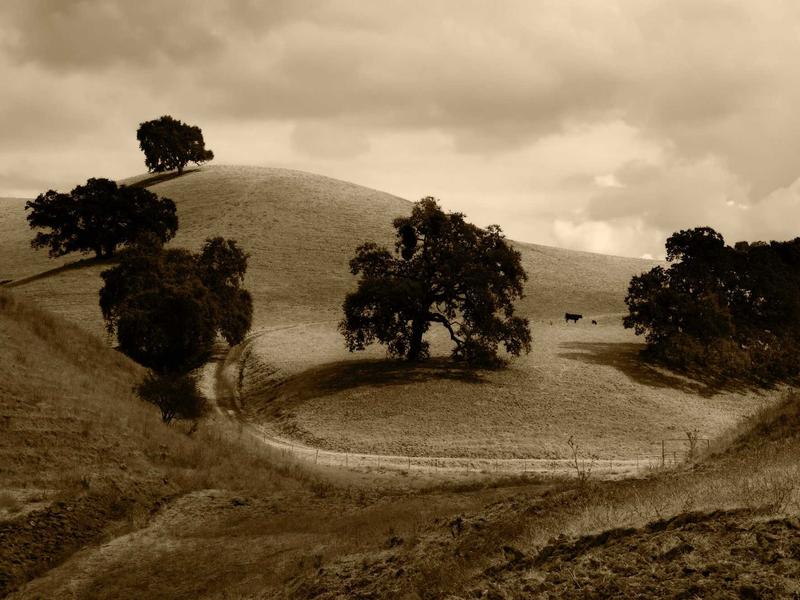 sudoku valid solution screenshot 2